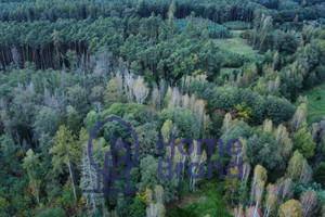 Działka na sprzedaż 4047m2 trzebnicki Oborniki Śląskie Jary Dębowa - zdjęcie 1