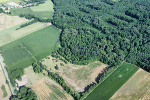 Działka na sprzedaż 1400m2 oławski Jelcz-Laskowice Grędzina Główna - zdjęcie 2