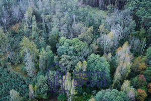 Działka na sprzedaż 4047m2 trzebnicki Oborniki Śląskie Jary Dębowa - zdjęcie 3