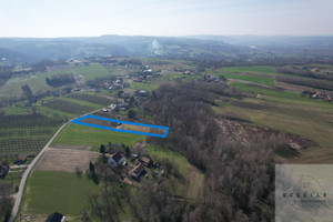 Działka na sprzedaż 6100m2 tarnowski Tarnów Błonie - zdjęcie 2