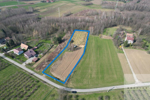 Działka na sprzedaż 6100m2 tarnowski Tarnów Błonie - zdjęcie 1