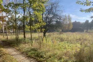 Działka na sprzedaż 4800m2 puławski Kazimierz Dolny - zdjęcie 3