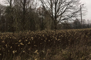 Działka na sprzedaż 1500m2 piaseczyński Konstancin-Jeziorna Słomczyn - zdjęcie 3