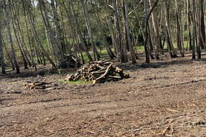 Działka na sprzedaż 5887m2 piaseczyński Konstancin-Jeziorna Kołobrzeska - zdjęcie 3