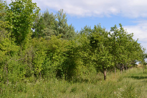 Działka na sprzedaż 1900m2 puławski Kazimierz Dolny Mięćmierz - zdjęcie 2