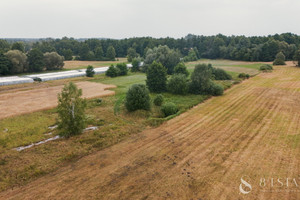 Działka na sprzedaż białobrzeski Wyśmierzyce Ulaski Grzmiąckie - zdjęcie 2