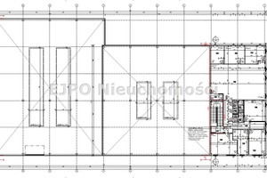 Działka na sprzedaż 4526m2 wrocławski Żórawina Rzeplin - zdjęcie 2