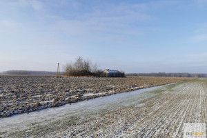 Działka na sprzedaż pułtuski Pułtusk - zdjęcie 1