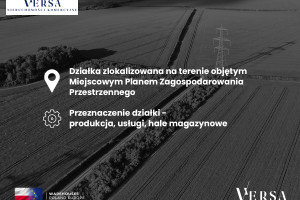 Działka na sprzedaż 24200m2 miński Siennica - zdjęcie 2