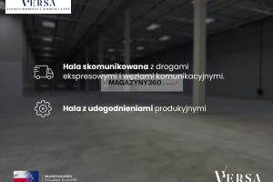 Komercyjne do wynajęcia 2100m2 miński Dębe Wielkie - zdjęcie 3