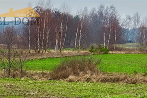 Działka na sprzedaż starogardzki Zblewo Białachowo Białachowska - zdjęcie 1