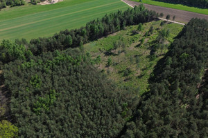 Działka na sprzedaż 1000m2 legionowski Serock - zdjęcie 2