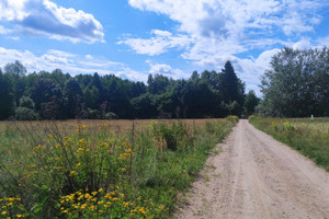 Działka na sprzedaż 3606m2 giżycki Giżycko - zdjęcie 3