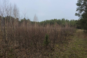 Działka na sprzedaż 16700m2 legionowski Wieliszew Niepodległości - zdjęcie 3