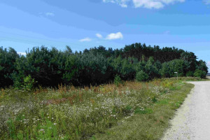 Działka na sprzedaż 1165m2 poznański Dopiewo Dąbrowa Wisławy Szymborskiej - zdjęcie 3