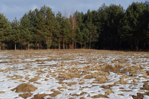 Działka na sprzedaż 1142m2 kielecki Daleszyce Niwy - zdjęcie 3