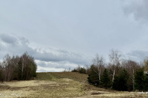 Działka na sprzedaż 1300m2 kielecki Bodzentyn Wiącka - zdjęcie 1