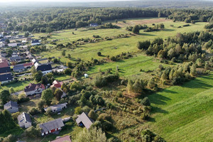 Działka na sprzedaż 7880m2 kielecki Mniów Serbinów - zdjęcie 3