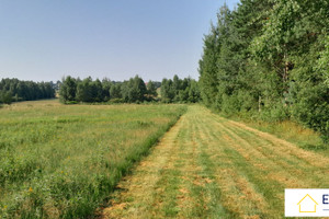 Działka na sprzedaż 800m2 kielecki Raków Koziel - zdjęcie 3