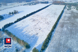 Działka na sprzedaż gnieźnieński Trzemeszno Gołąbki - zdjęcie 2