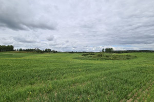 Działka na sprzedaż 3100m2 ełcki Stare Juchy Orzechowo - zdjęcie 1