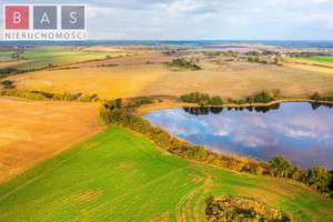 Działka na sprzedaż 3118m2 pyrzycki Lipiany Dębiec - zdjęcie 1