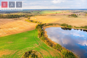 Działka na sprzedaż 3118m2 pyrzycki Lipiany Dębiec - zdjęcie 3