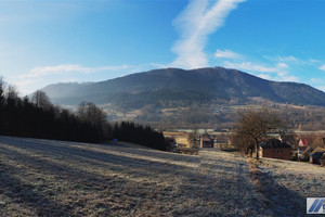 Działka na sprzedaż 13200m2 limanowski Mszana Dolna Kasinka Mała - zdjęcie 1