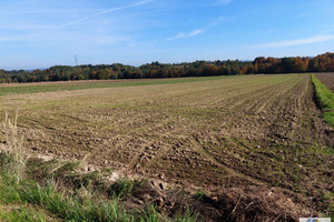 Działka na sprzedaż 7369m2 wadowicki Brzeźnica Paszkówka - zdjęcie 1