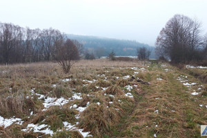 Działka na sprzedaż 1508m2 suski Zawoja Skawica - zdjęcie 2