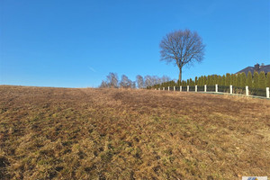 Działka na sprzedaż 6000m2 krakowski Mogilany Włosań - zdjęcie 2