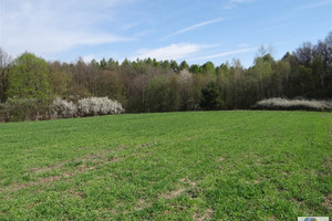 Działka na sprzedaż 10400m2 krakowski Zabierzów Zelków - zdjęcie 1