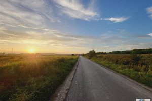 Działka na sprzedaż 7200m2 krakowski Czernichów Wołowice - zdjęcie 2