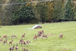 Działka na sprzedaż 2500m2 suski Zawoja - zdjęcie 1