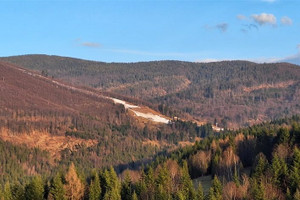 Działka na sprzedaż 9865m2 suski Zawoja - zdjęcie 3