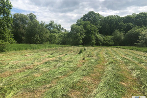 Działka na sprzedaż 3221m2 Kraków Swoszowice Opatkowice - zdjęcie 1