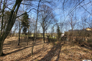 Działka na sprzedaż 18200m2 bocheński Rzezawa Łazy - zdjęcie 2