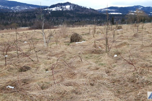 Działka na sprzedaż 780m2 suski Stryszawa - zdjęcie 2