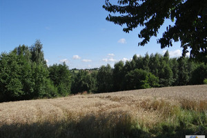 Działka na sprzedaż 5785m2 krakowski Iwanowice Iwanowice Włościańskie - zdjęcie 1