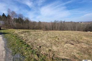 Działka na sprzedaż 6700m2 krakowski Skawina Wola Radziszowska - zdjęcie 3