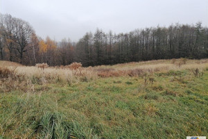 Działka na sprzedaż 1800m2 krakowski Świątniki Górne Ochojno - zdjęcie 3