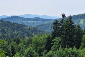 Działka na sprzedaż 717m2 suski Maków Podhalański Żarnówka - zdjęcie 1