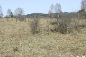 Działka na sprzedaż 7000m2 suski Stryszawa Kurów - zdjęcie 3