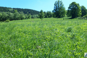 Działka na sprzedaż 2600m2 suski Zawoja - zdjęcie 1