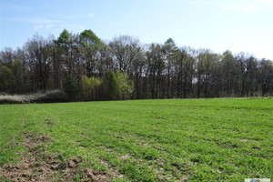 Działka na sprzedaż 10400m2 krakowski Zabierzów Zelków - zdjęcie 3