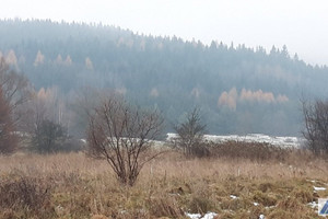 Działka na sprzedaż 1508m2 suski Zawoja Skawica - zdjęcie 1