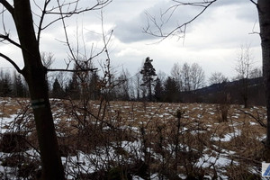 Działka na sprzedaż 9900m2 suski Stryszawa - zdjęcie 2