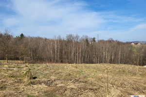 Działka na sprzedaż 6700m2 krakowski Skawina Wola Radziszowska - zdjęcie 2