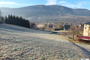 Działka na sprzedaż 13200m2 limanowski Mszana Dolna Kasinka Mała - zdjęcie 3