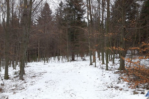 Działka na sprzedaż 9900m2 suski Stryszawa - zdjęcie 3